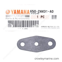 Fuel Pump Gasket