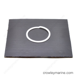 Back Up Ring thumbnail-2