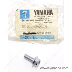 Flange Bolt