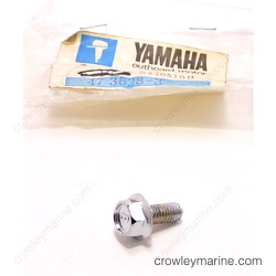 Flange Bolt thumbnail-2