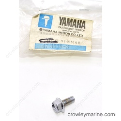 Flange Bolt