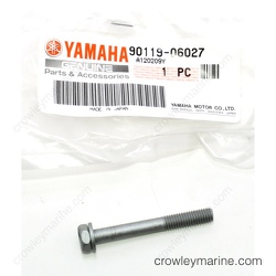 Bolt with Washer