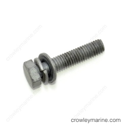 Bolt with Washer