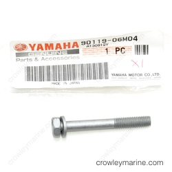 Bolt with Washer