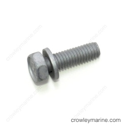 Bolt with Washer