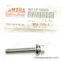 Bolt with Washer