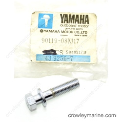 Bolt with Washer