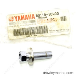 BOLT WITH WASHER (63N)