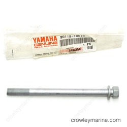 Bolt with Washer