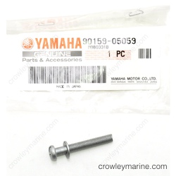 Screw With Washer