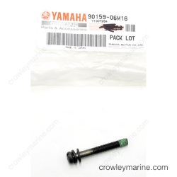 Screw With Washer