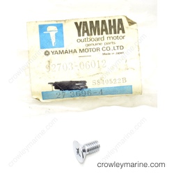 Flat Head Screw