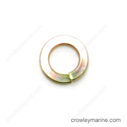 Spring Washer