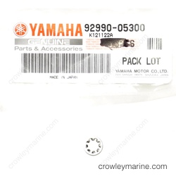 Internal Tooth Washer