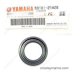 Oil Seal