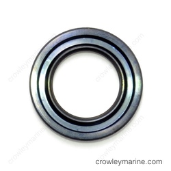 Oil Seal