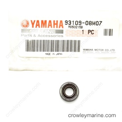 Oil Seal