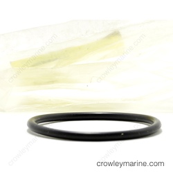 O-Ring thumbnail-1