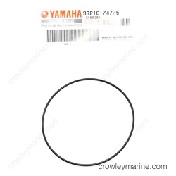O-Ring
