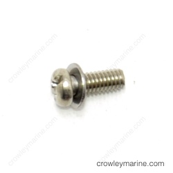 Screw With Washer