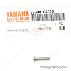 Pan Head Screw