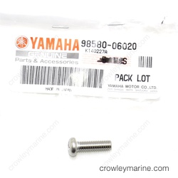Pan Head Screw