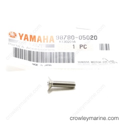 Flat Head Screw thumbnail-1
