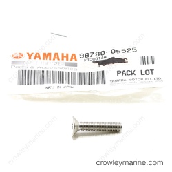 Flat Head Screw thumbnail-1
