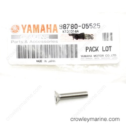 Flat Head Screw