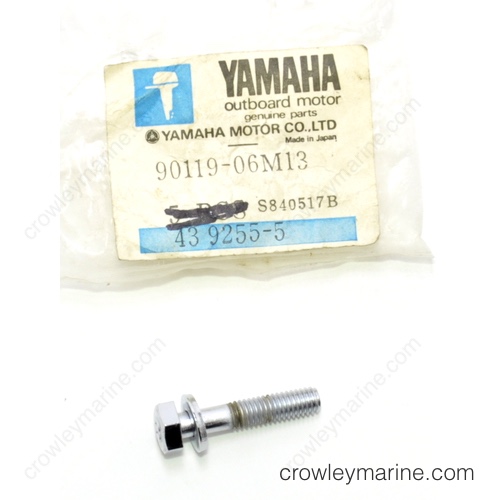 Bolt with Washer
