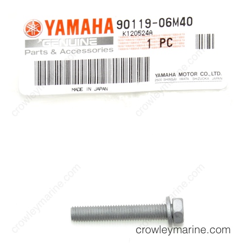 Bolt with Washer