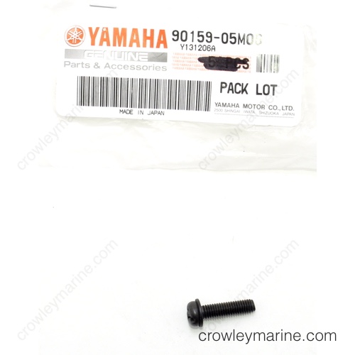 Screw With Washer