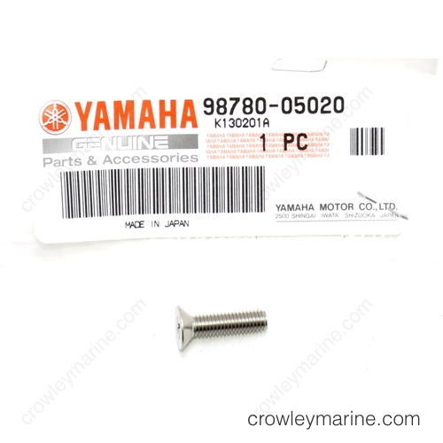 Flat Head Screw