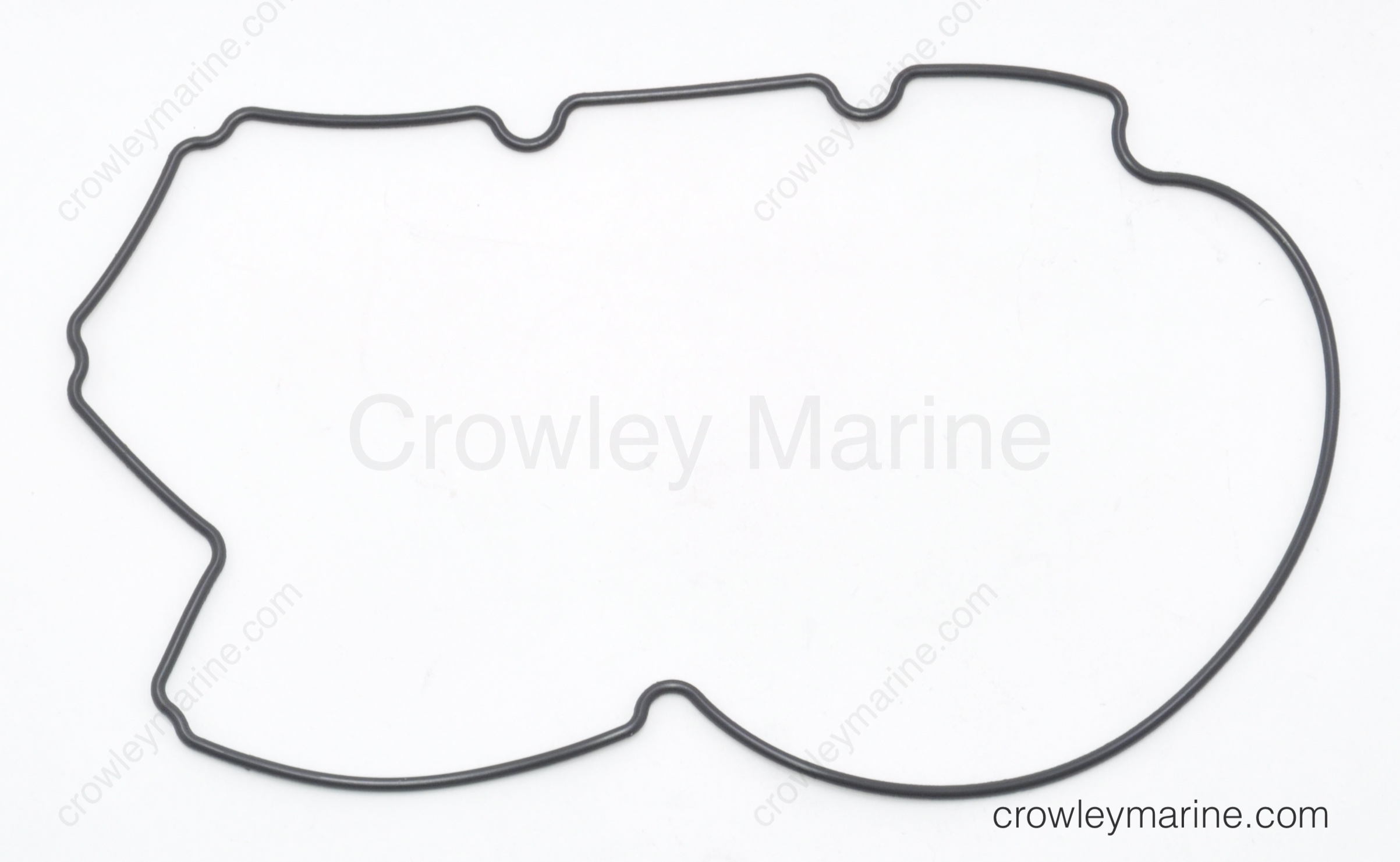 Float Chamber Gasket