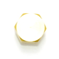 6H1-43829-00-00 - Reservoir Plug