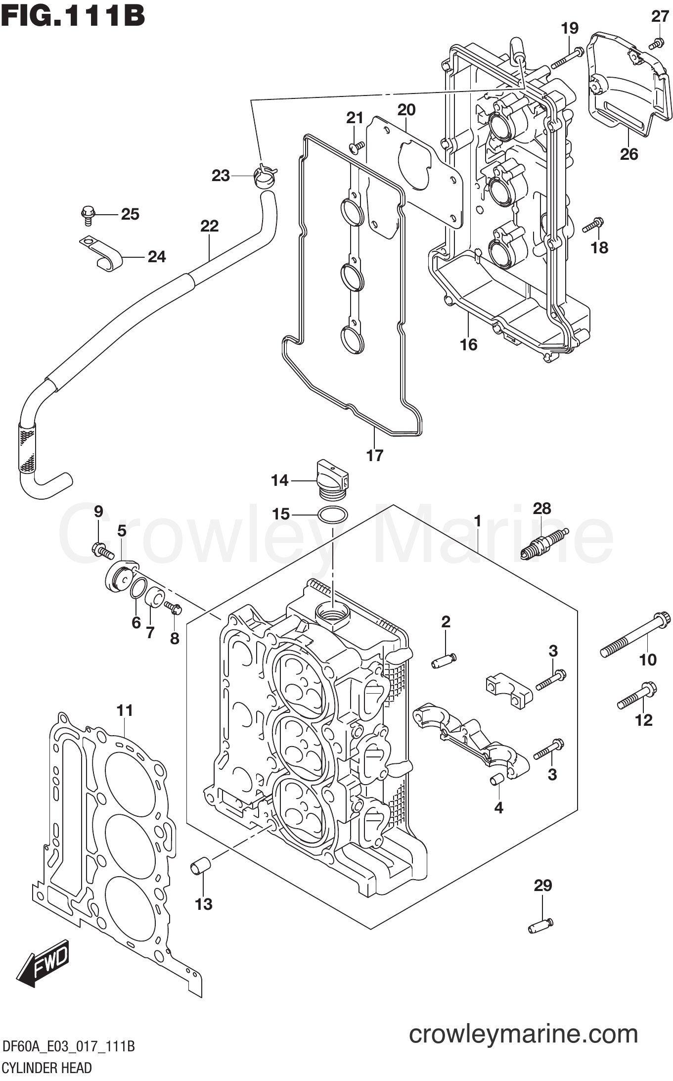 Suzuki Marine DF60AVT 710001~ - CYLINDER HEAD (DF50A E03)
