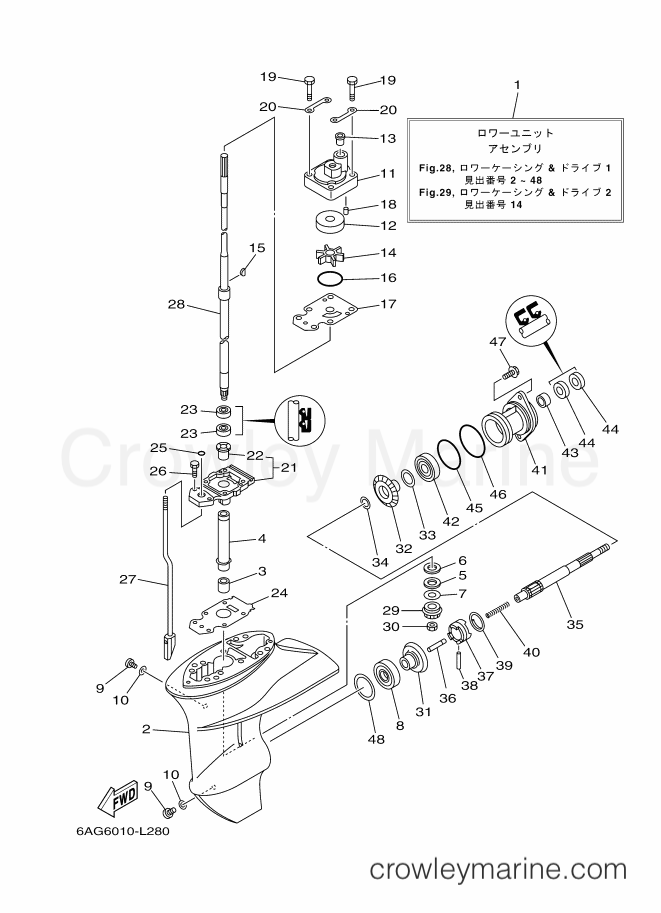 Yamaha Motors F15CWHL (6AG7) [420] - LOWER CASING & DRIVE 1