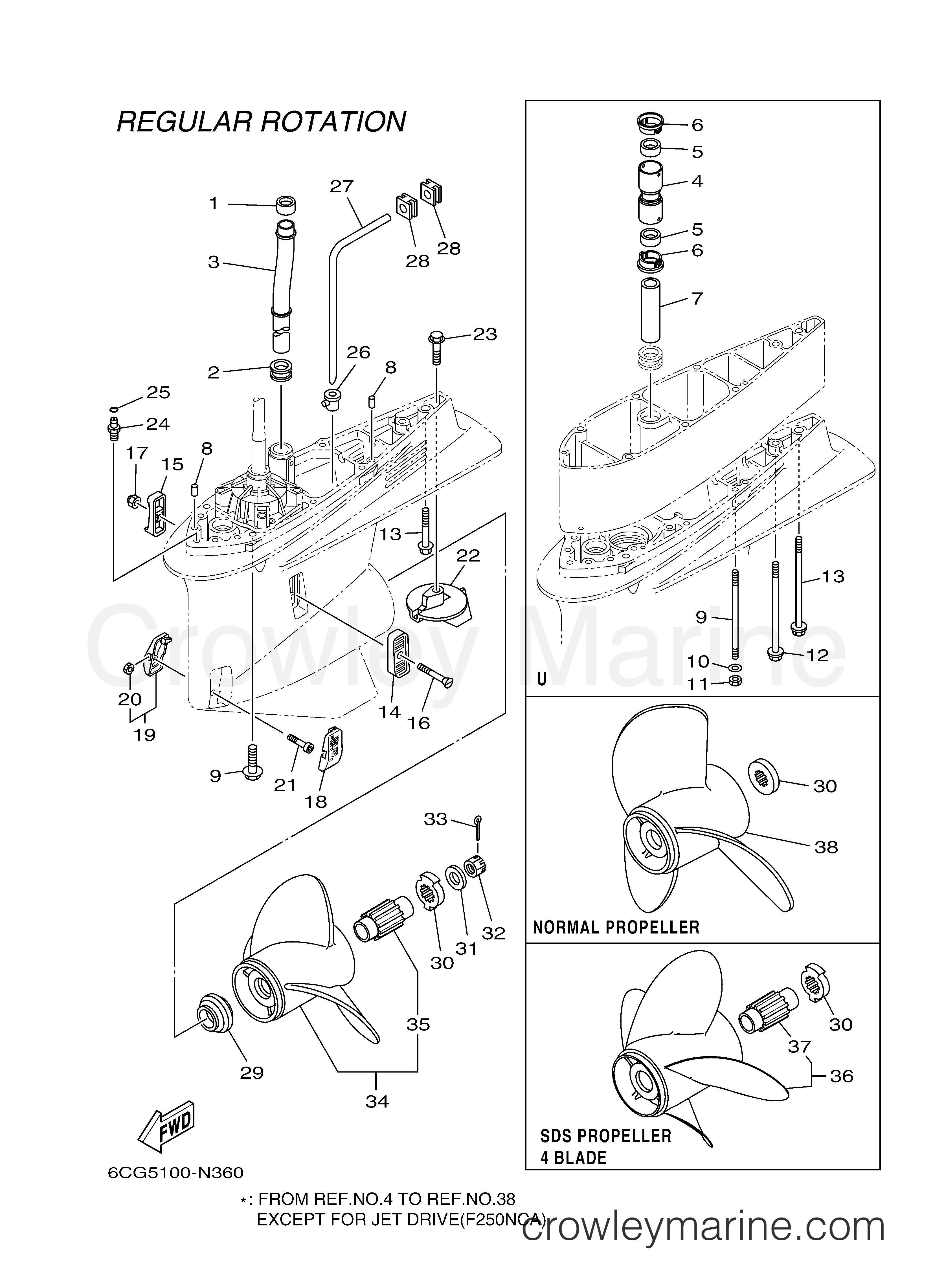 Yamaha Motors F250NCA - LOWER CASING DRIVE 2