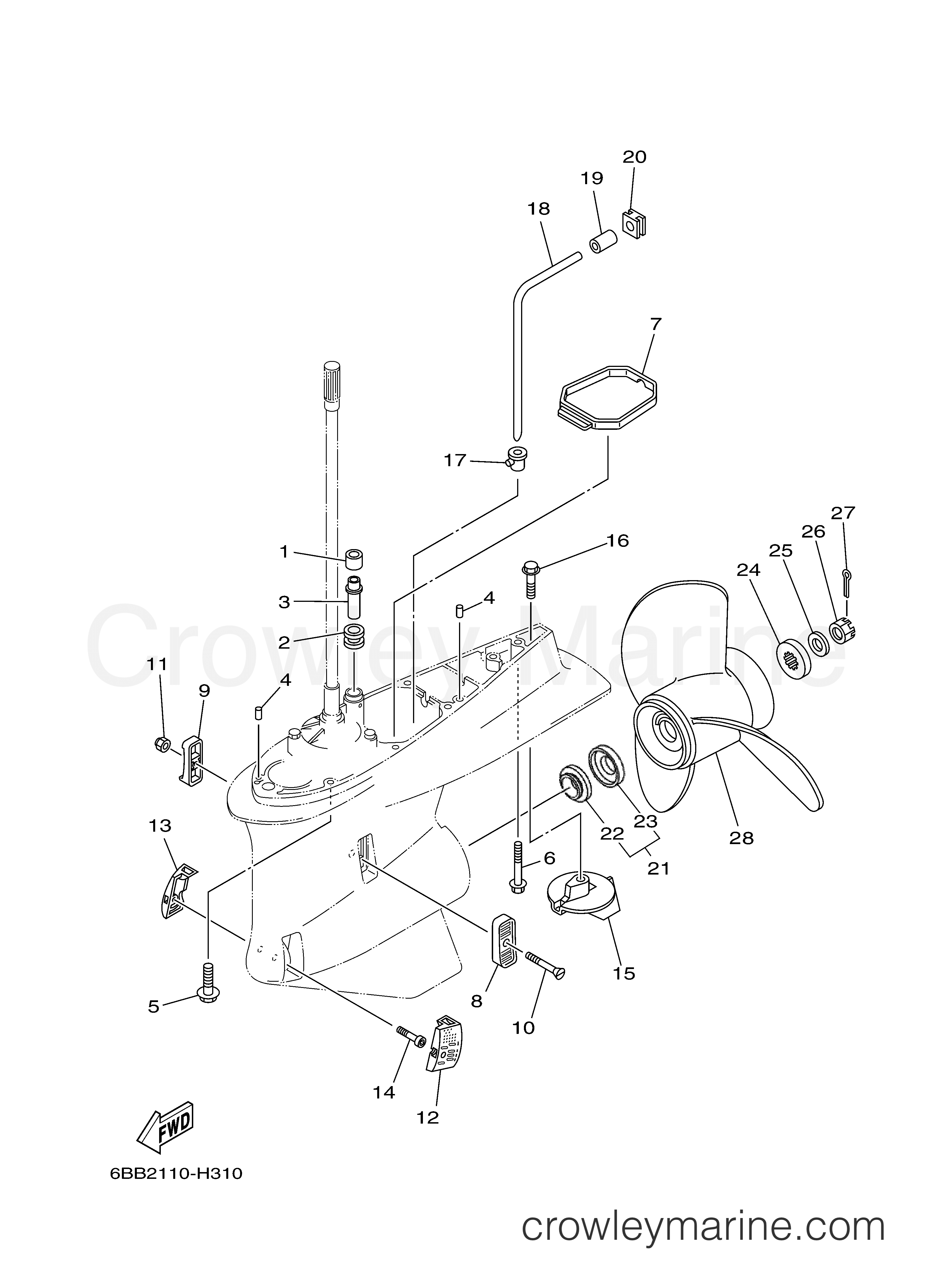 Yamaha Motors F225TLR - LOWER CASING DRIVE 2
