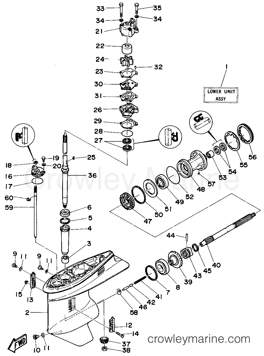 Yamaha Motors C75TLRS - LOWER CASING DRIVE 1