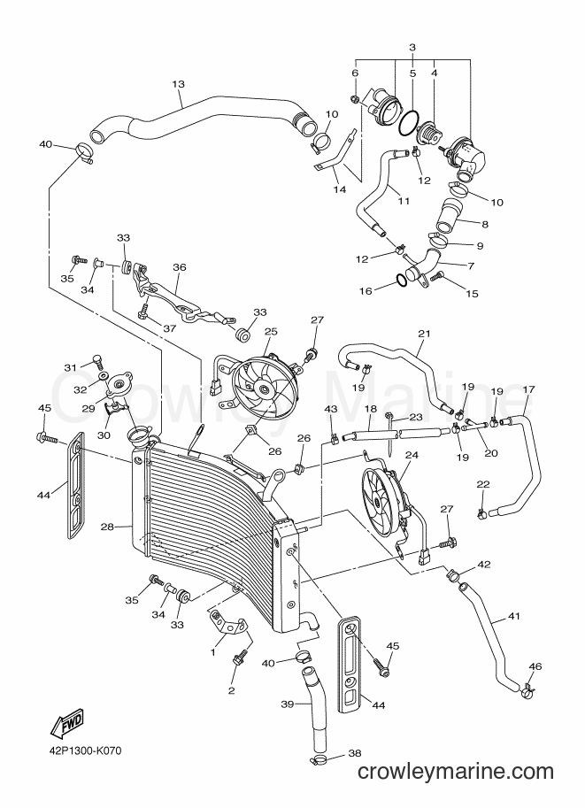 Yamaha Motors FZ8-S (42P2) [010] - RADIATOR & HOSE