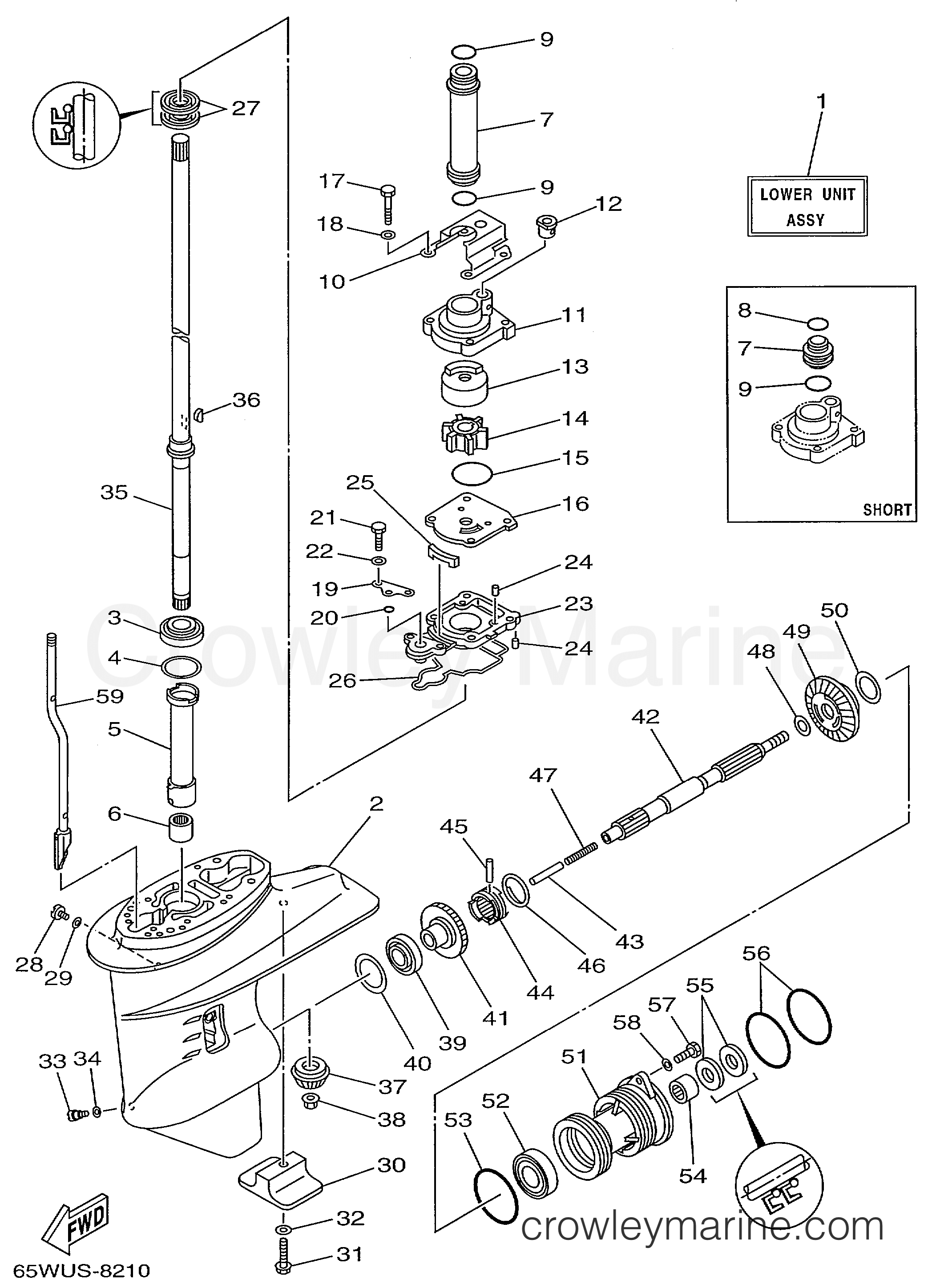 Yamaha Motors F25ELHX - LOWER CASING DRIVE 1