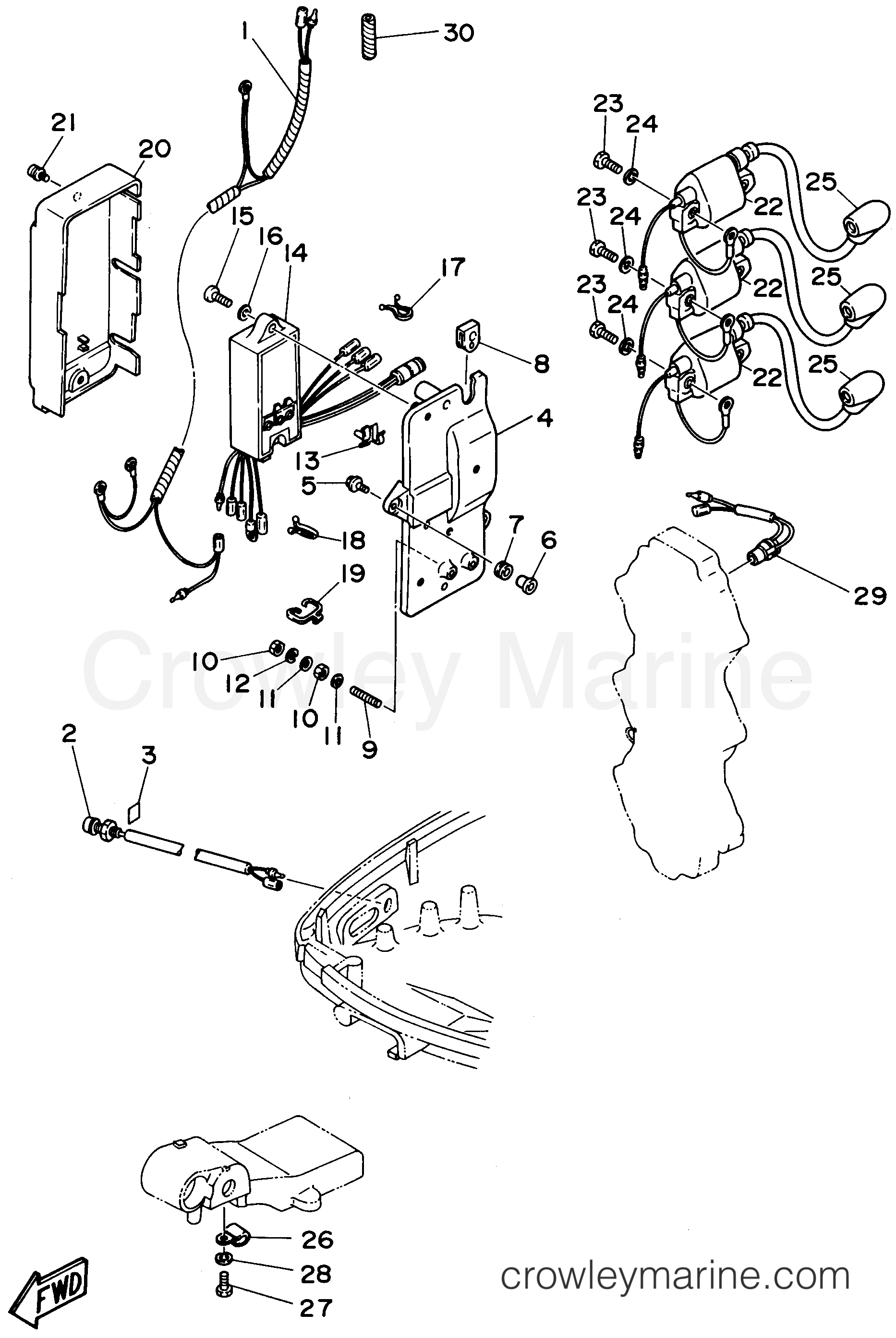 Yamaha Motors E60MLHU - ELECTRICAL