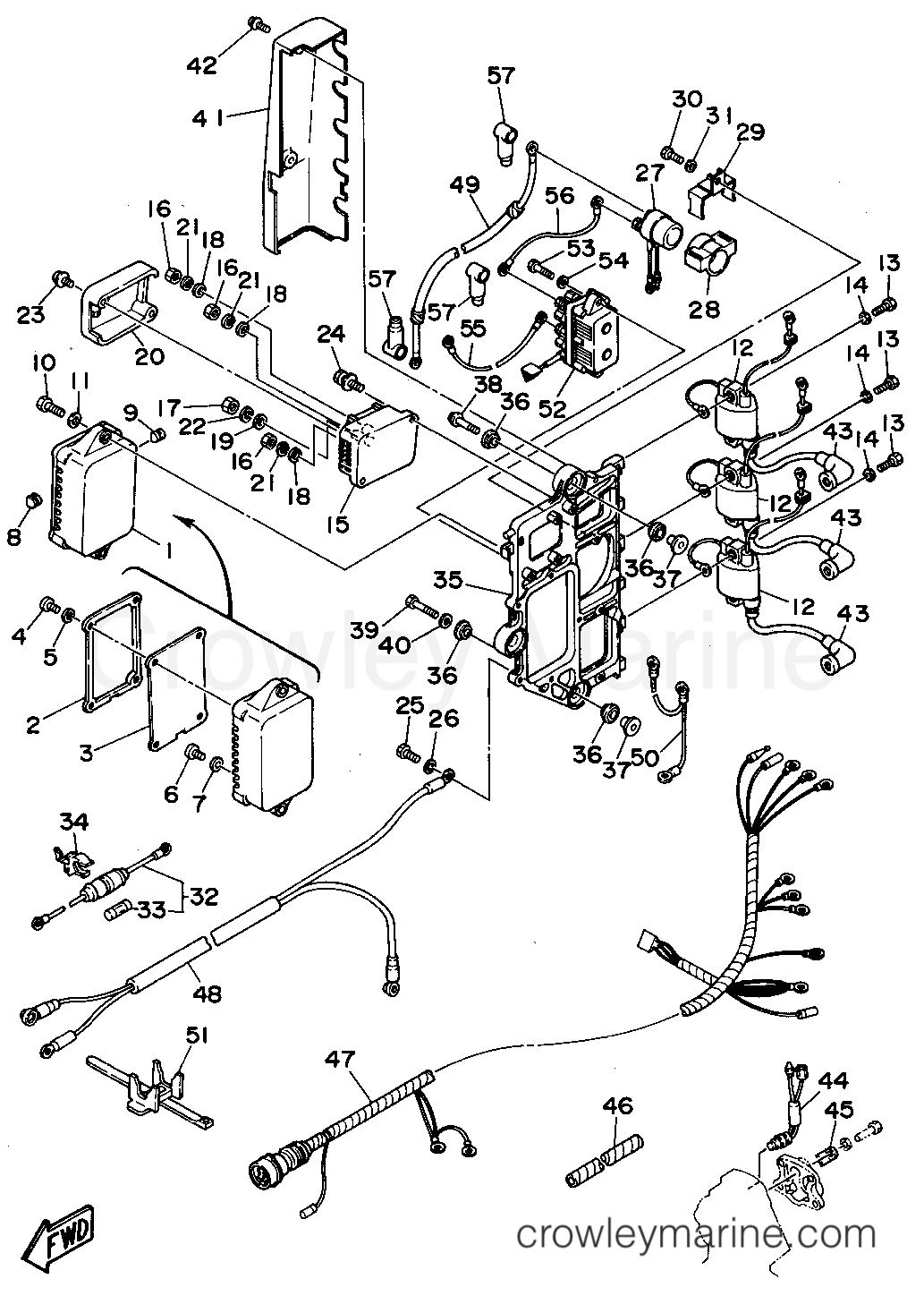 Yamaha Motors C85TLRS - ELECTRICAL 1