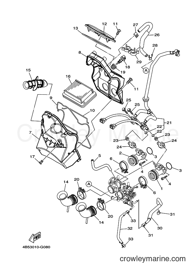 Yamaha Motors XP500 (4B5S) [010] - INTAKE