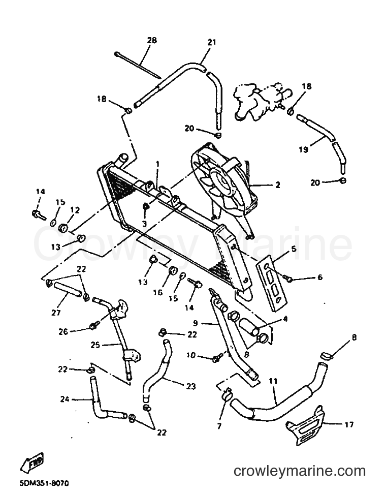 1998 Scooter YH50 - YH50 (5EU8) [010] - RADIATOR & HOSE