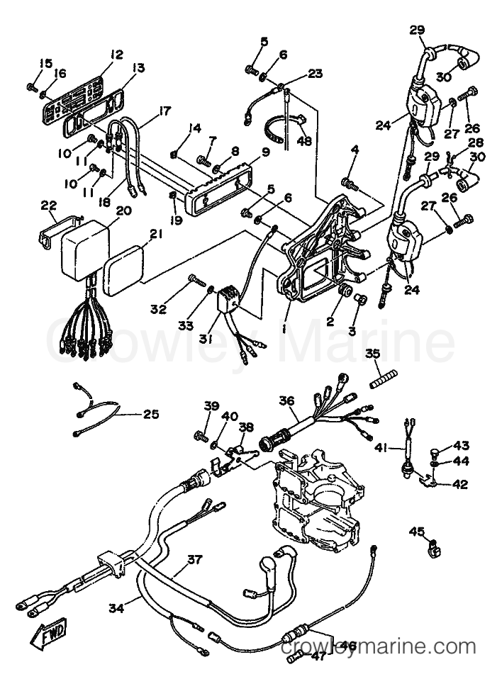 Yamaha Motors 55B (697) [999] - ELECTRICAL