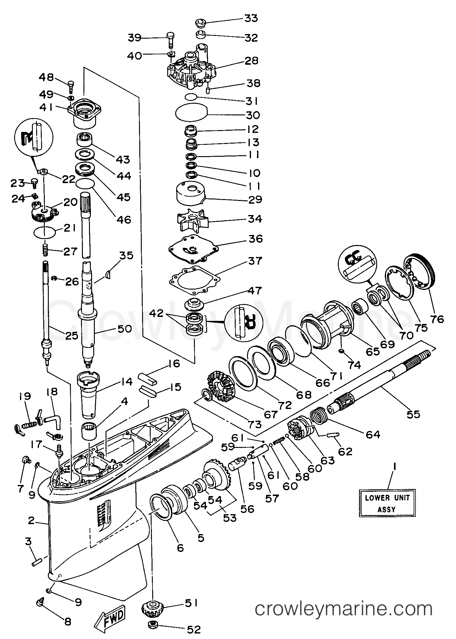 Yamaha Motors C150TLRU - LOWER CASING DRIVE 1