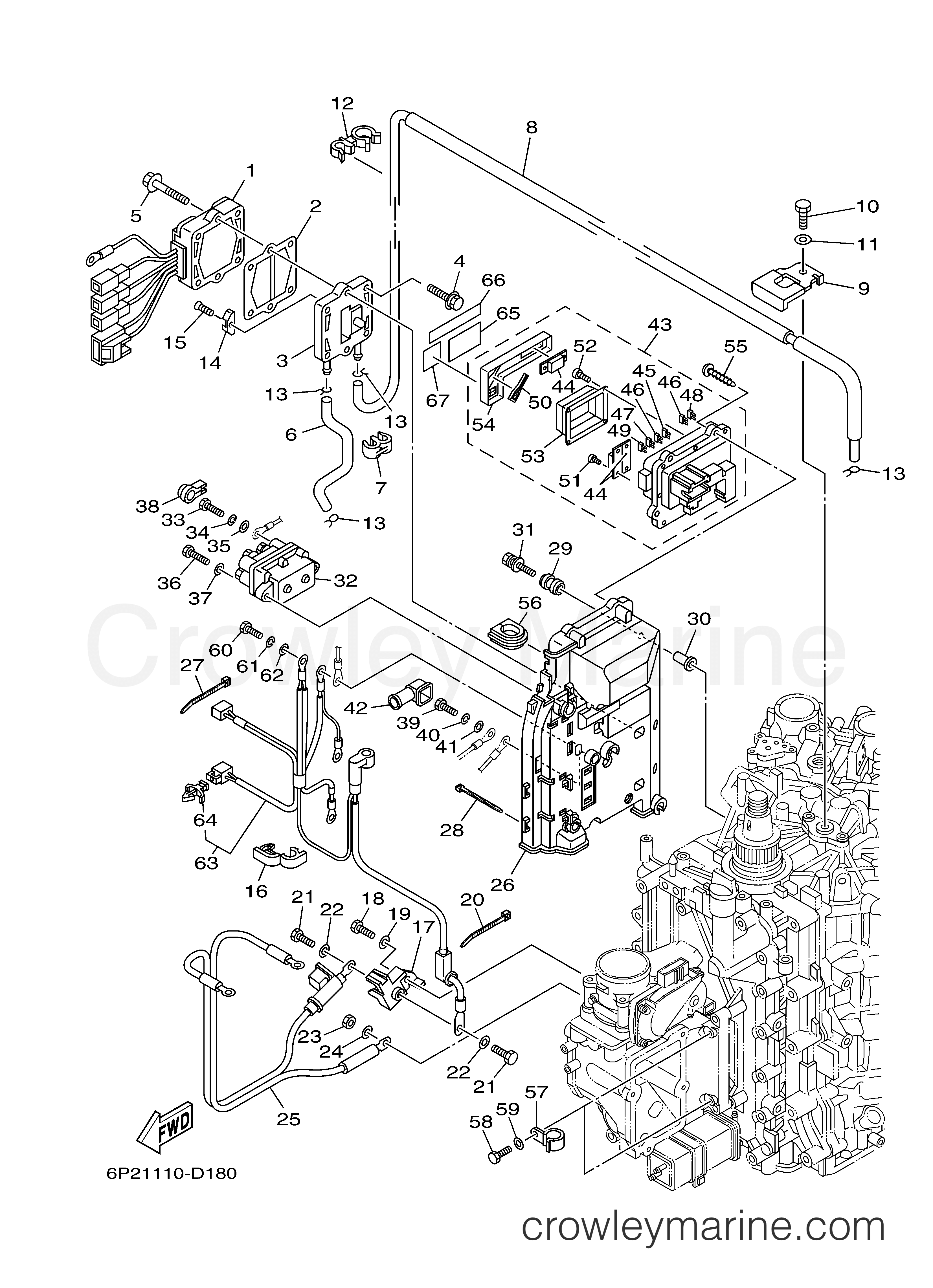 Yamaha Motors F250TURD - ELECTRICAL 2