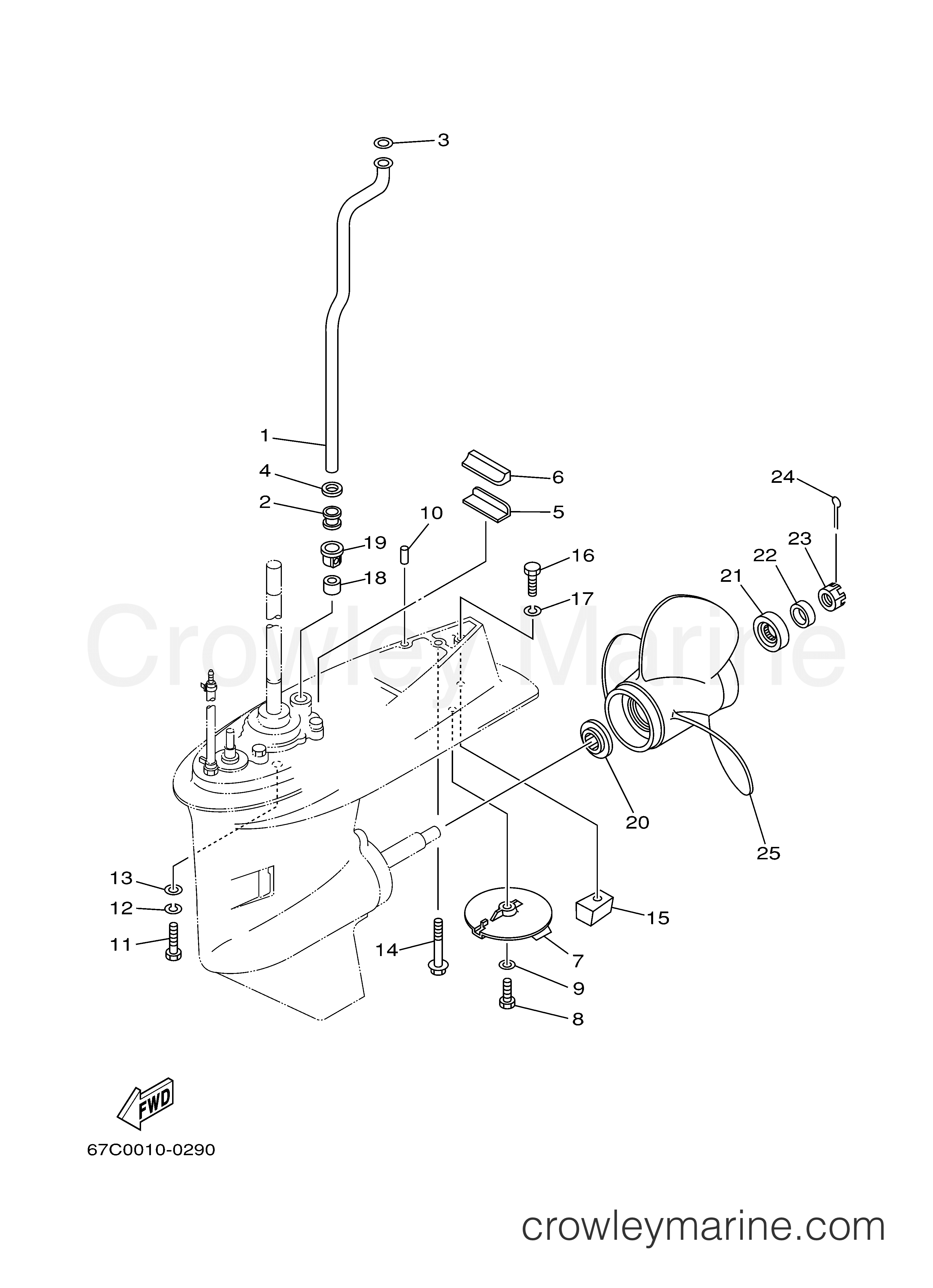 Yamaha Motors F40MLHY - LOWER CASING DRIVE 2